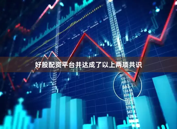 好股配资平台并达成了以上两项共识