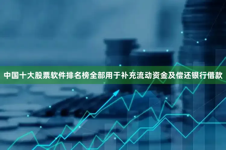 中国十大股票软件排名榜全部用于补充流动资金及偿还银行借款