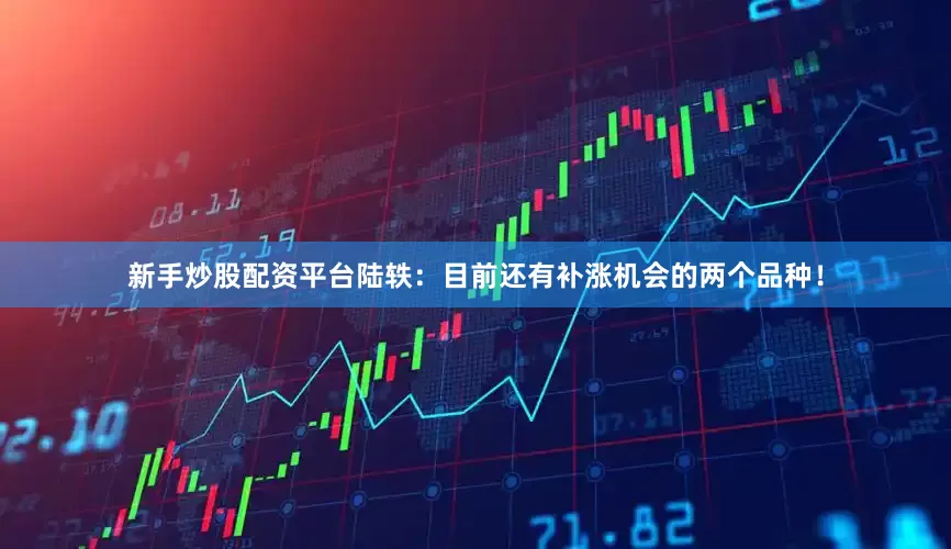 新手炒股配资平台陆轶：目前还有补涨机会的两个品种！