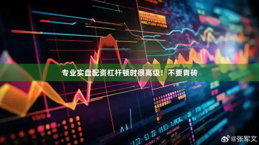 专业实盘配资杠杆顿时很高级！不要青砖